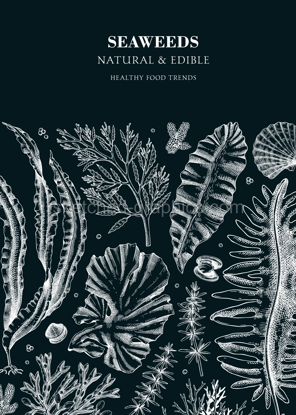 Edible seaweed design on chalkboard. Hand drawn kelp, kombu, wakame, hijiki, Irish moss illustration. Underwater plants and algae vector frame . Healthy food ingredients. Japanese cuisine Illustration
